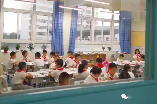 不雞血 十二年一貫制,升學照樣上牛校 這所老牌民辦學校竟然有野生鳥類觀測園