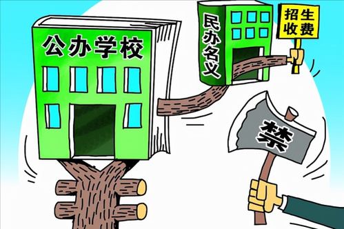 民轉公浪潮下的私立學校 招生盈利之路被斷，民辦高校教師何去何從？